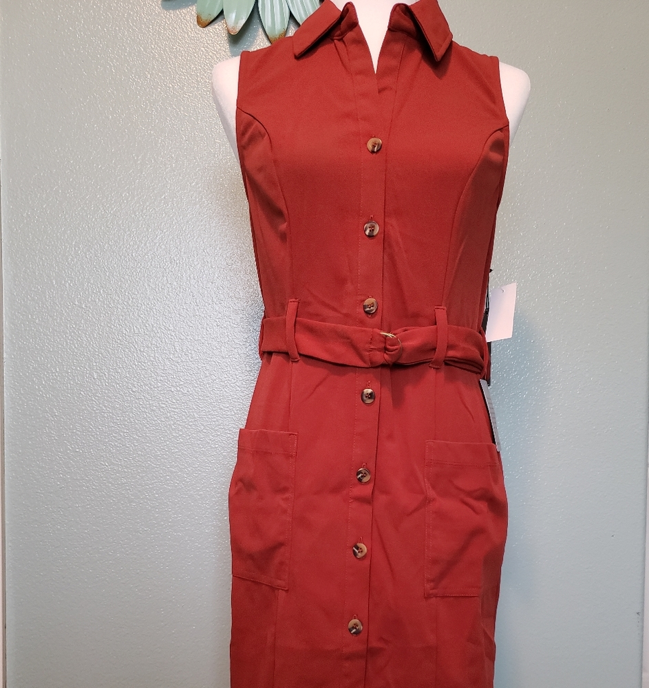 Max & Ash Shirt Dress